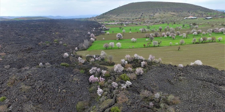 'Yanık Ülke' İlkbaharla Renklendi