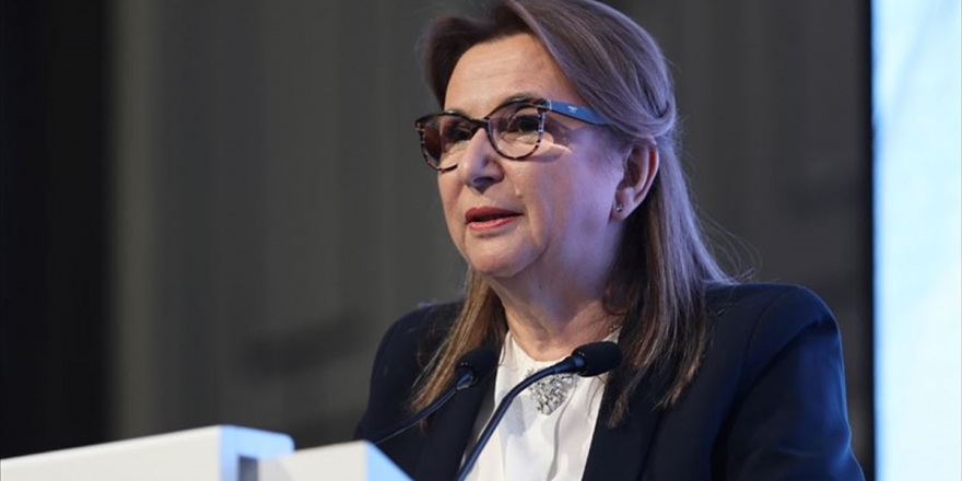 Bakan Pekcan'dan 'Kovid-19 Tanı Kiti' İthalatına İlişkin Açıklama