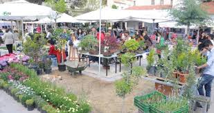 Alaçatı Ot Festivali "evden" yapılacak