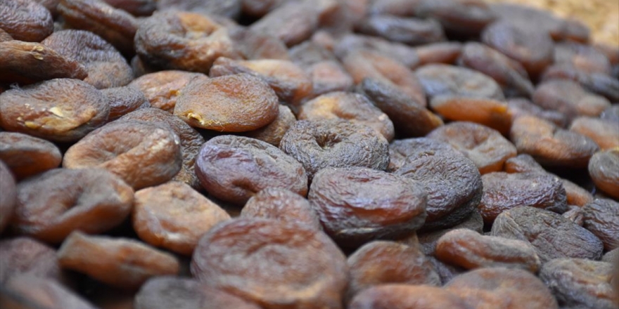 Malatya'dan Mart Ayında 23 Milyon 411 Bin Dolarlık Kuru Kayısı İhracatı