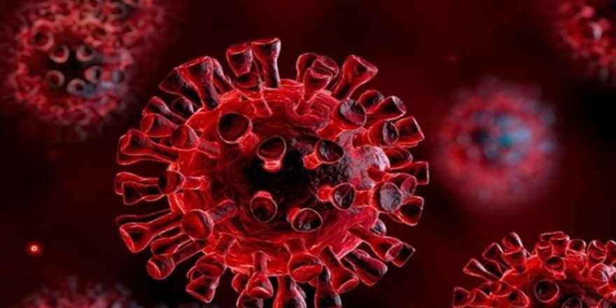 Ankara Yıldırım Beyazıt Üniversitesi Tıp Fakültesi Koronavirüs Pandemi Seyrini Yayımladı