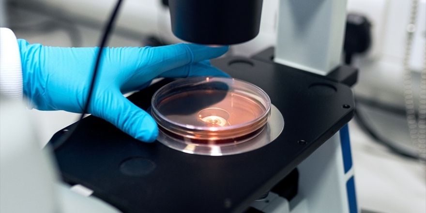 Erciyes Üniversitesinde Araştırmacılar, Koronavirüsü Hücre Kültüründe İzole Etmeyi Başardı