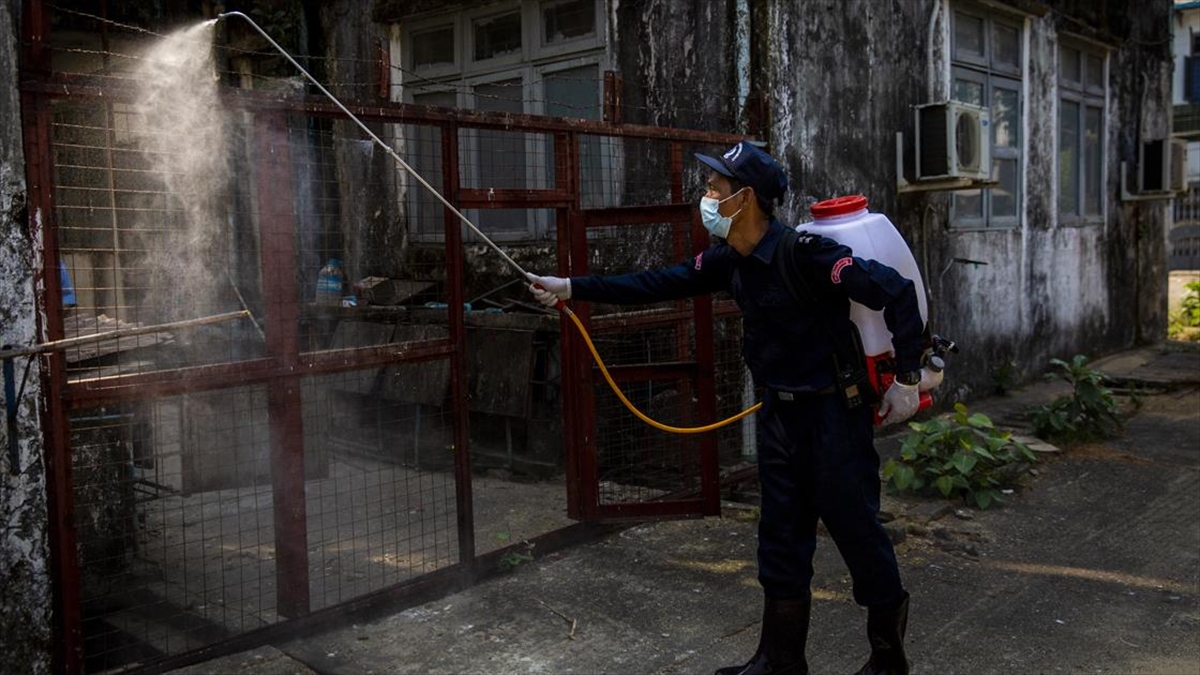 Koronavirüs Salgınında Son 24 Saat