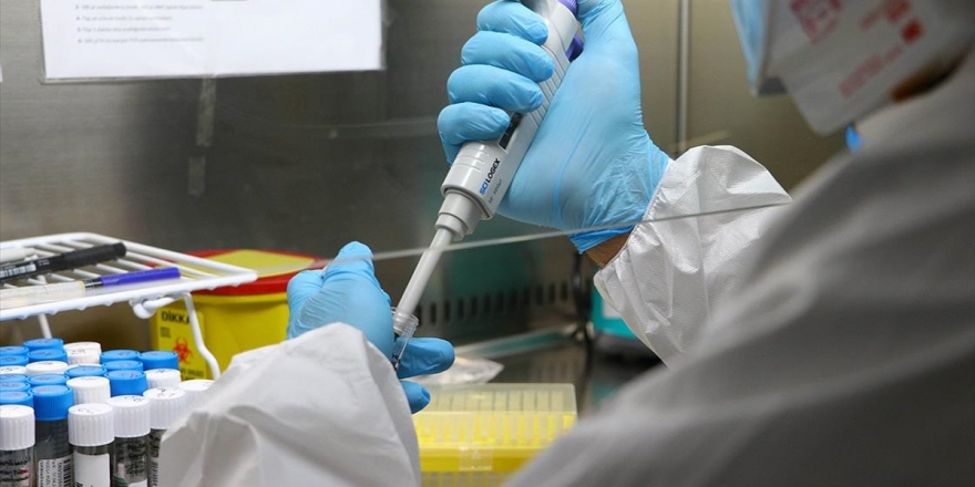 Namık Kemal Üniversitesi Kovid-19'a Karşı Laboratuvar Çalışmalarına Başladı