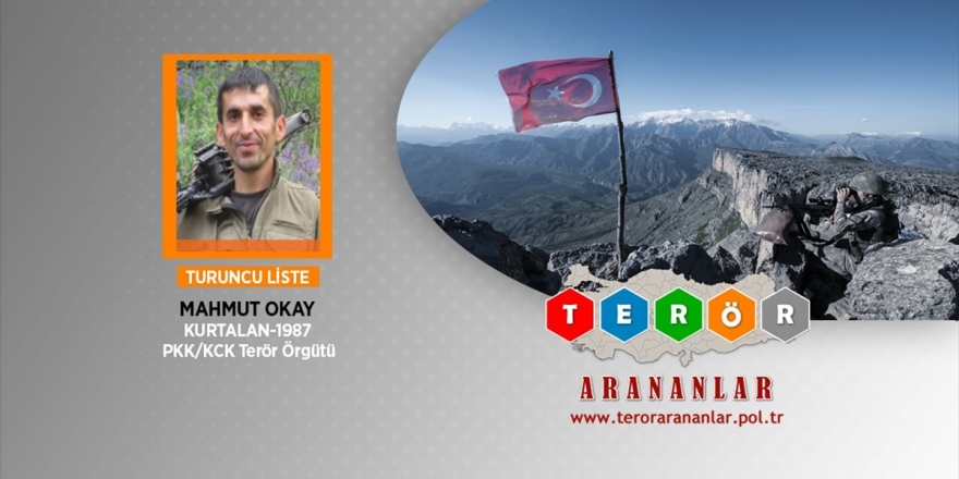 Muş'ta 1 Milyon Tl Ödülle Aranan Terörist Yakalandı