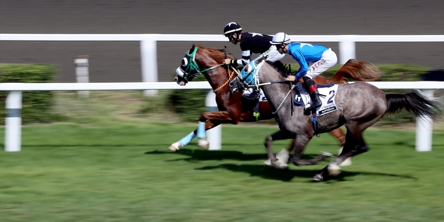 Ertelenen At Yarışları İçin Karar Mayıs Ayının İlk Haftası Verilecek