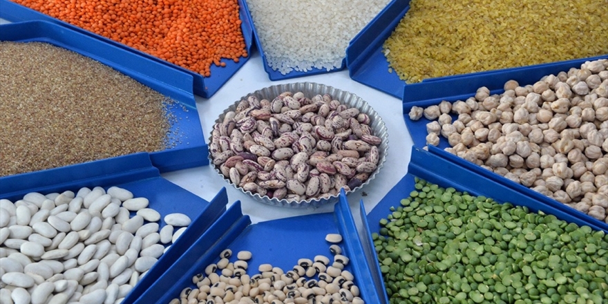 Hububat Ve Bakliyatta Üretim Artışı Bekleniyor