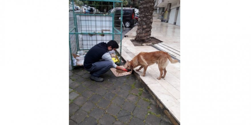 SOKAĞA ÇIKMA YASAĞINDA CAN DOSTLAR DA UNUTULMADI