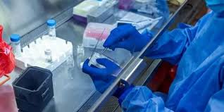 DSÖ'den umut veren aşı açıklaması: İnsan testlerine başlandı