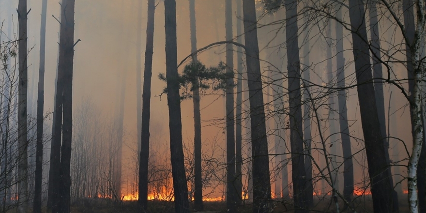 Ukrayna Devlet Başkanı Zelenskiy: Çernobil Nükleer Santrali İçin Herhangi Bir Tehdit Yok