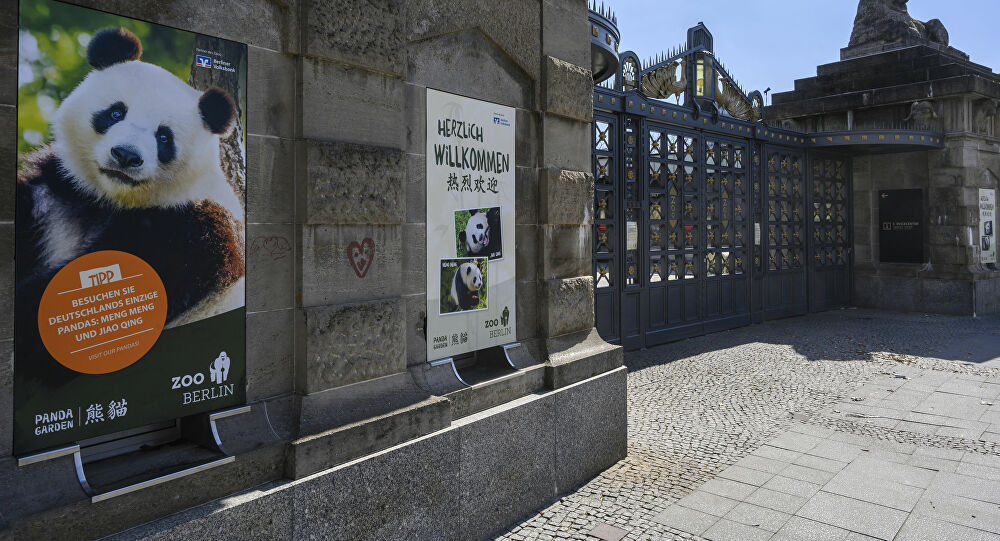 Salgın hayvanat bahçelerini vurdu: 'Bazı hayvanları diğerlerine yem olarak vermek zorunda kalabiliriz'