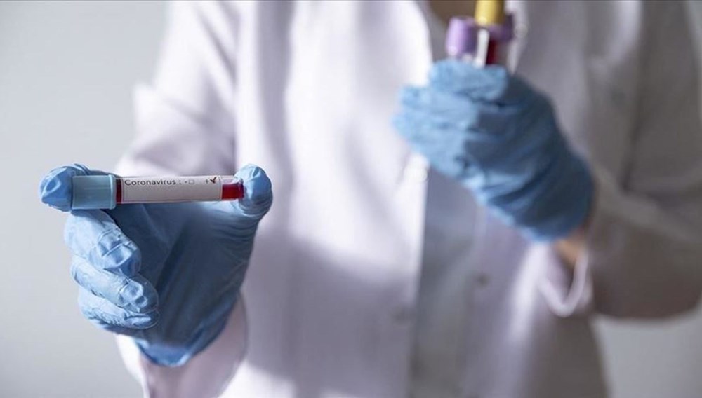 Corona ilk kez 1964’te keşfedildi! İşte virüsü bulan bilim kadını