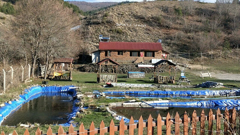 Kaz çiftliğinde et, yumurta ve civciv siparişlerine yetişemiyor