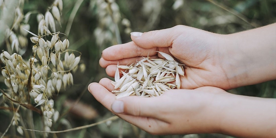 BM Gıda Ve Tarım Örgütü: Kovid-19 Gıda Sistemini Etkileyebilir