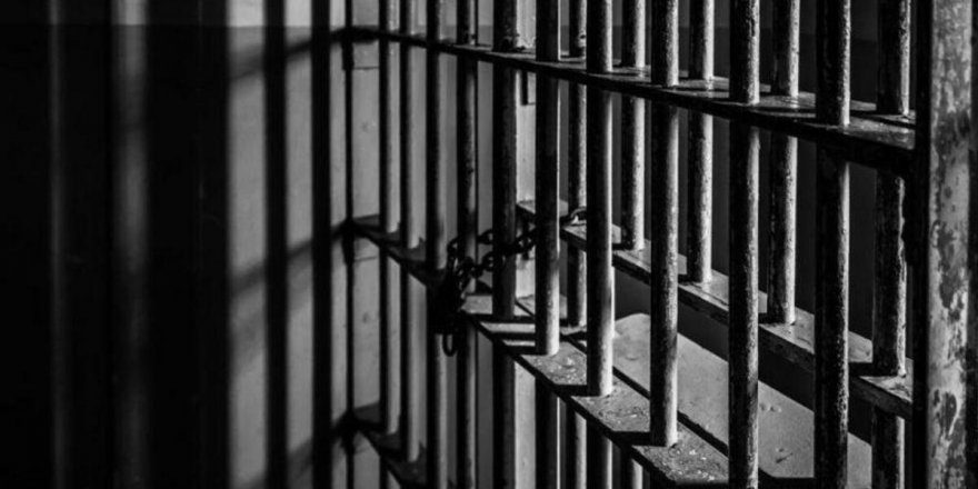 Prof. Dr. Seyithan Deliduman yazdı: CEZA İNFAZINA ARA VERİLMESİ