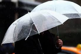 Türkiye'nin kuzey ve doğusunda sağanak bekleniyor