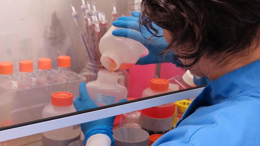 Korkutan corona virüsü araştırması: Sıcağa rağmen bulaşıyor