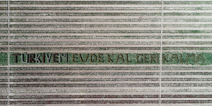 Gökkuşağını Andıran Lale Tarlasında 'Evde Kal' Mesajı