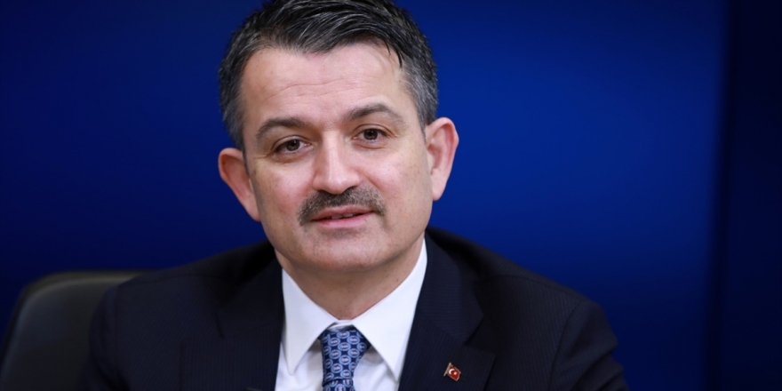 Pakdemirli: Güvenle üretmeye devam edin, gerekirse devlet olarak biz alırız