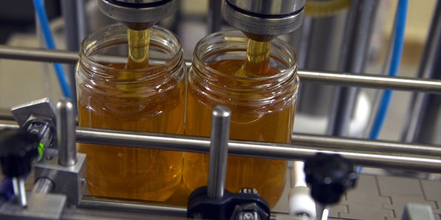 Bal Kestaneden Mi, Kekikten Mi Bilinecek