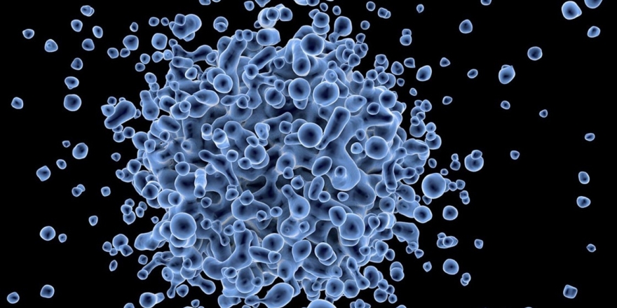 Yetersiz Beslenme Enfeksiyon Riskini Arttırıyor