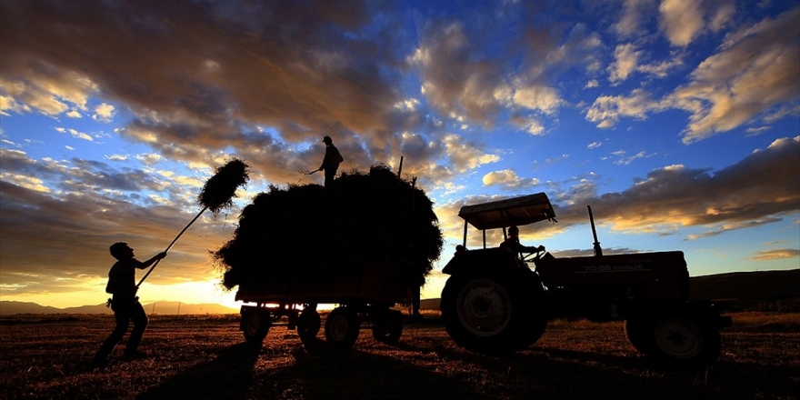 Hazine Destekli Tarımsal Kredi Geri Ödemelerine 6 Ay Erteleme