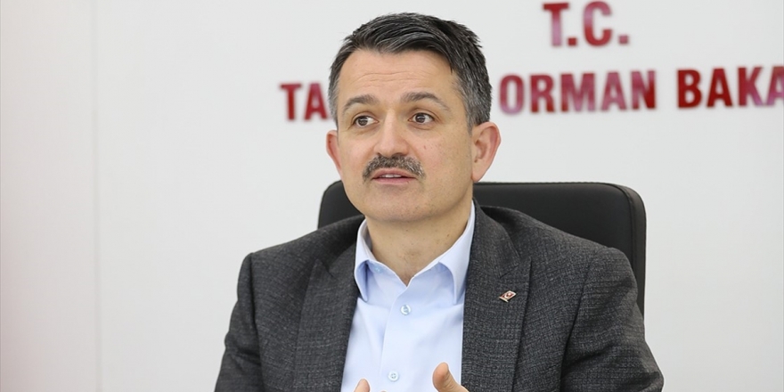 Bakan Pakdemirli: Kimsenin Ürünü Tarlada, Hayvanı Elinde Kalmayacak