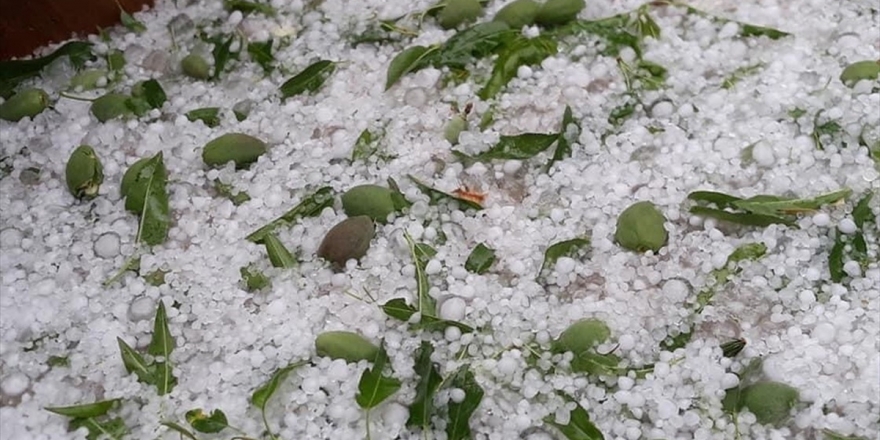 Mersin'de Etkili Olan Dolu Tarım Alanlarına Zarar Verdi