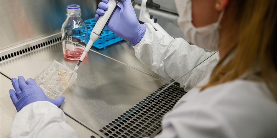 Hepatit C İlaçlarının Kovid-19 Tedavisinde Potansiyel Adaylar Olduğu Belirlendi