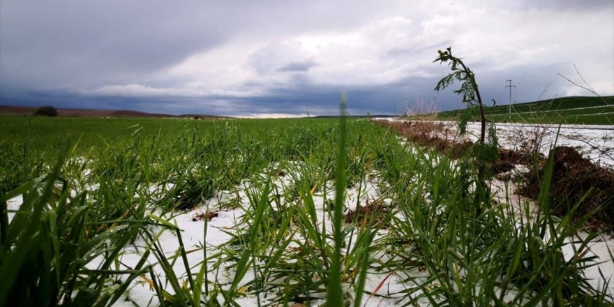 Kırşehir'de Sağanak Ve Dolu Tarım Alanlarına Zarar Verdi