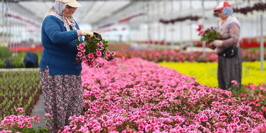 Çiçekçiler 'Anneler Günü'nde' Sokağa Çıkma Kısıtlamasından Muafiyet İstiyor