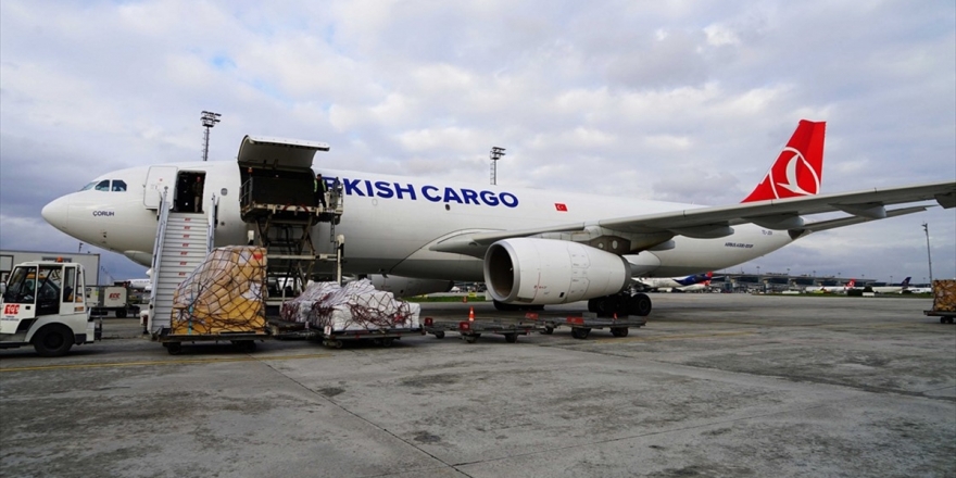 THY, Evcil Olmayan Hayvanların Türkiye'ye Girişine İzin Vermeyecek