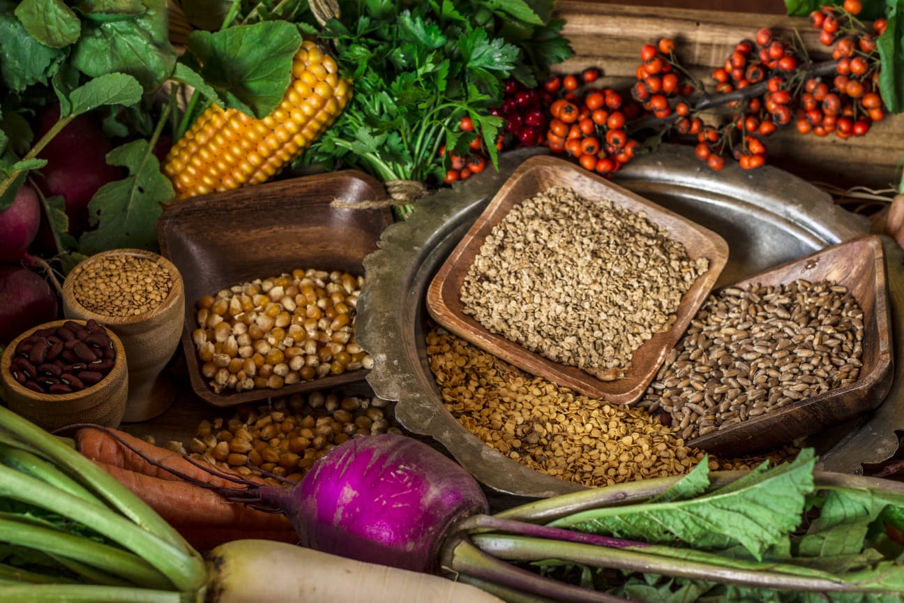 ATA TOHUMLARI TÜRKİYE’NİN HER YANINA GÖNDERİLDİ