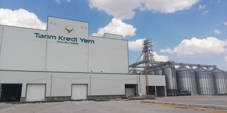 Tarım Kredi Yem Üretim Kapasitesini Artırıyor