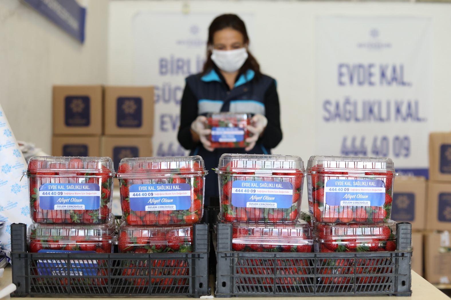 AYDIN BÜYÜKŞEHİR BELEDİYESİ’NDEN ÇİFTÇİYE ALIM DESTEĞİ