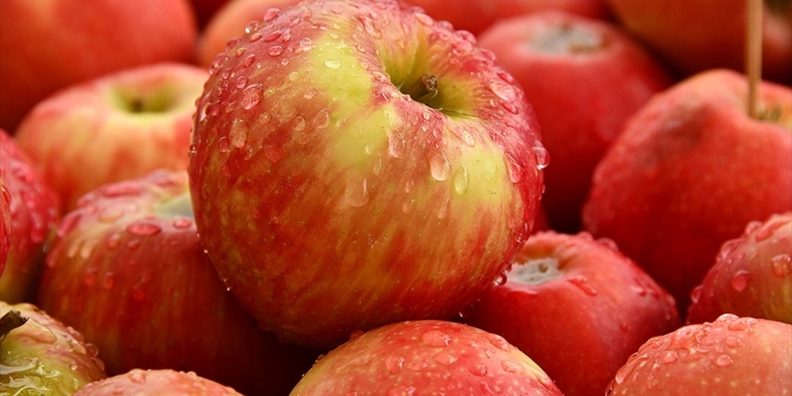 Türk İhracatçısı 210 Milyon Dolarlık 'Tayland Elma Pazarı'na Giriyor