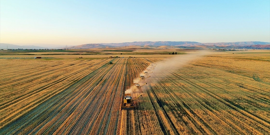 Kovid-19 Tarımın Önemini Ortaya Koydu