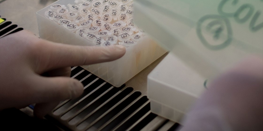 Uzmanlar Prototip Bir Aşının Maymunları Kovid-19'dan Koruduğunu Açıkladı