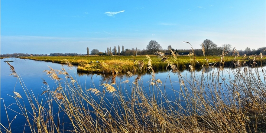 Doğanın Yaşam Örgüsü Alarm Veriyor: Biyolojik Çeşitlilik Kaybı Artıyor