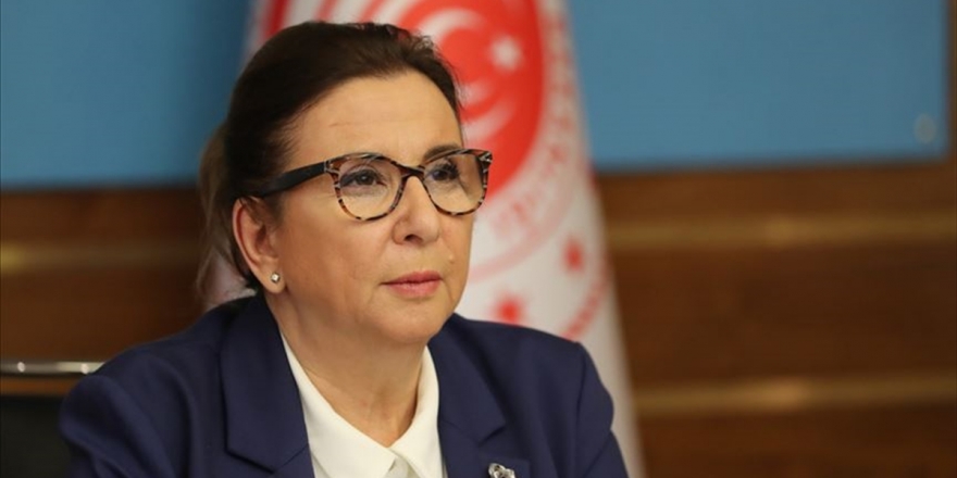 Ticaret Bakanı Pekcan: Normalleşme Süreciyle Ekonomik Aktivitenin Hızla Toparlanacağı Günler Yakındır