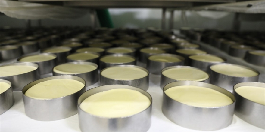 Süt Ve Süt Ürünleri İhracatçıları Çin Pazarıyla Hedef Büyüttü