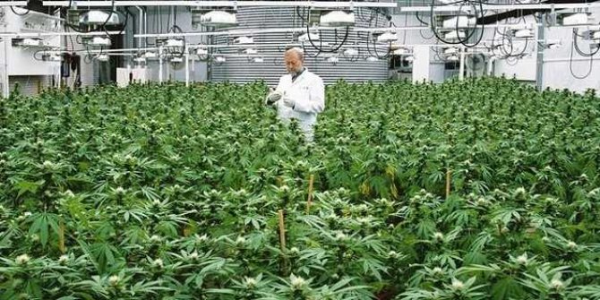 Sakarya Büyükşehir Belediye Başkanı Yüce: Kenevir üretimine başlıyoruz