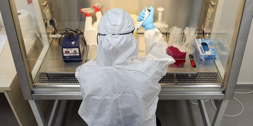 Dokuz Eylül Üniversitesi Kovid-19'un Hayvanlar Üzerindeki Etkisini Araştıracak