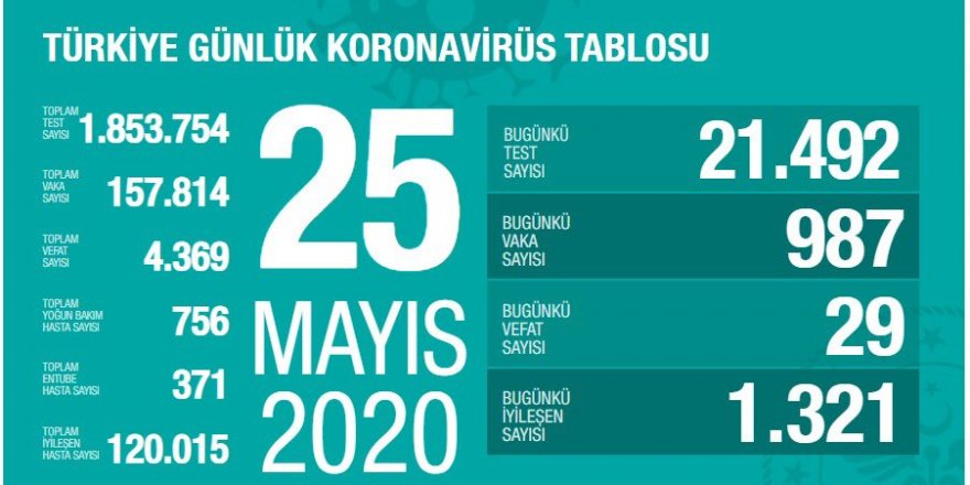 Türkiye'de koronavirüsten 29 ölüm: 987 yeni vaka