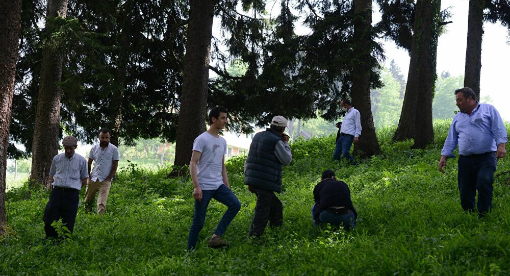 Trabzonlular 'gök taşı' aradı