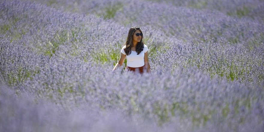 Görsel Şölen Sunan 'Mor Tarlalar' Huzur Veriyor
