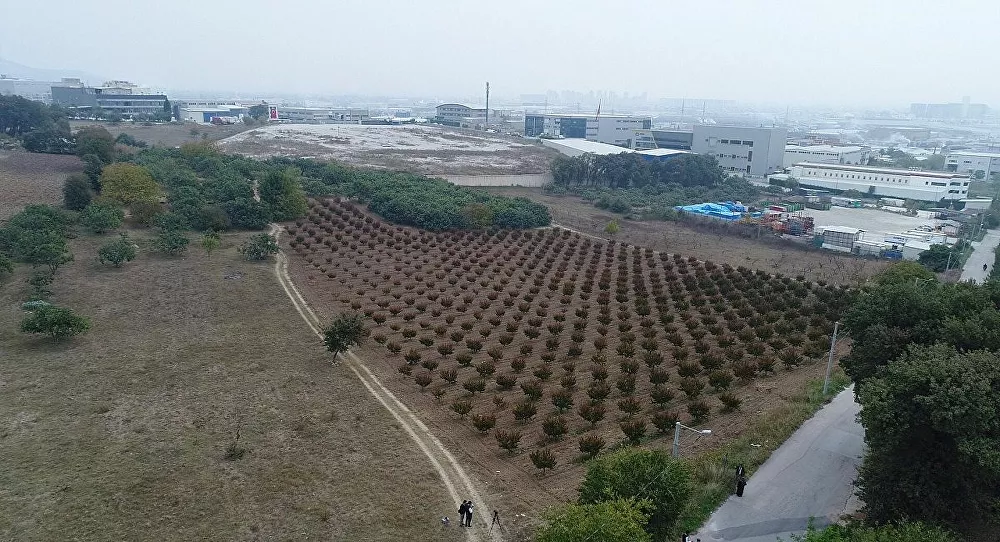 TOKİ'nin arsaları açık artırma ile satışa çıkıyor