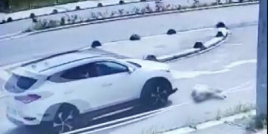 Hayatını kaybeden köpeğe 5 yıldır bakan Dr. Sarıbeyliler: Ceza almasını istiyorum