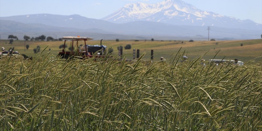 Türk Tohumları 80 Ülkenin Tarım Arazilerinde Filizleniyor
