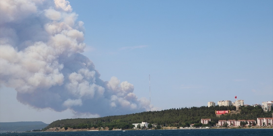 Gelibolu Yarımadası'nda Orman Yangını Çıktı